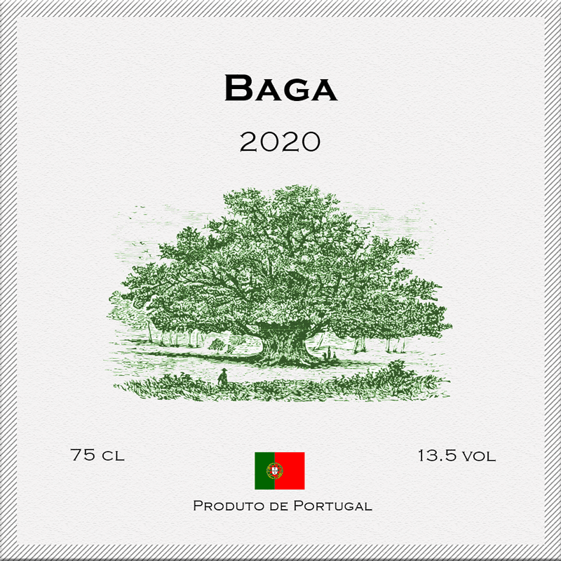 Baga